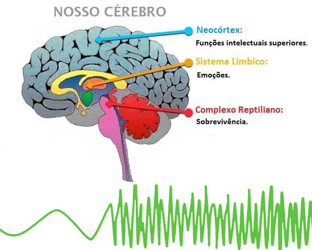 A importância da memória